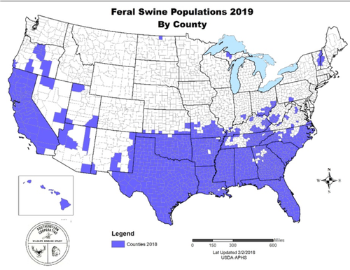 A map showing feral swine populations in the US. 